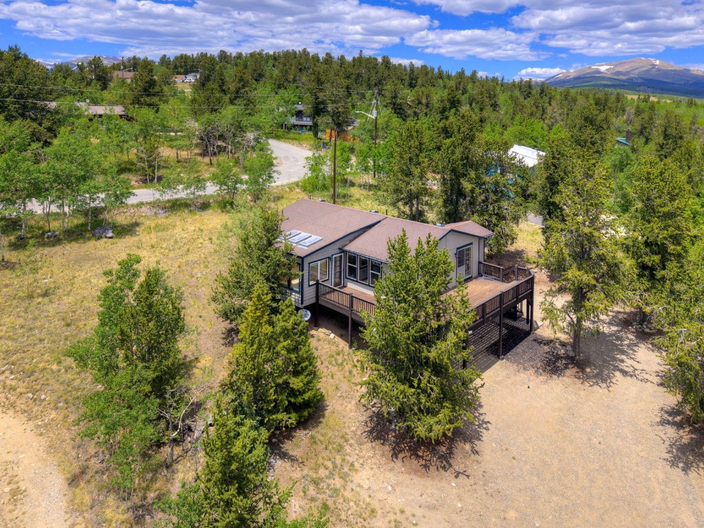 255 Park View Drive Fairplay, CO 80440 - Photo 12 of 37