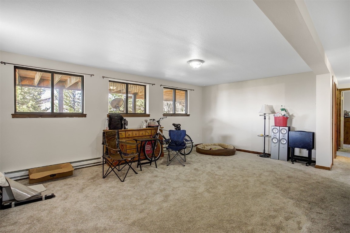 255 Park View Drive Fairplay, CO 80440 - Photo 23 of 37 lower living room