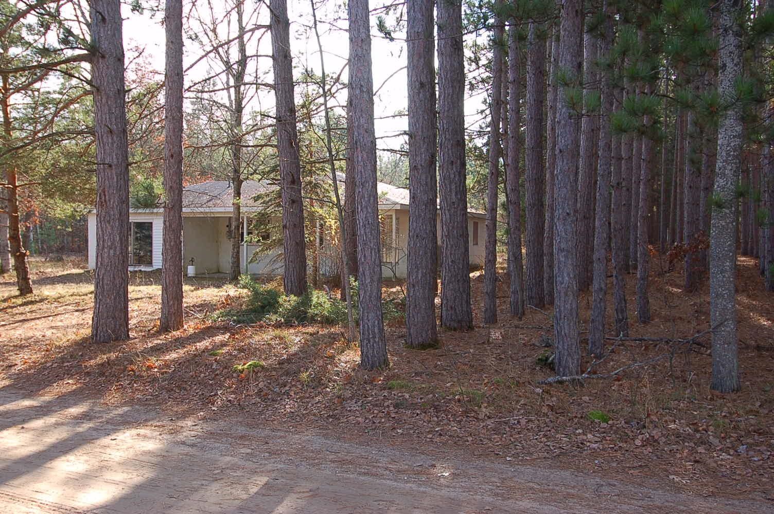 6291 South Seeley Road Cadillac, MI 49601 - Photo 3 of 36