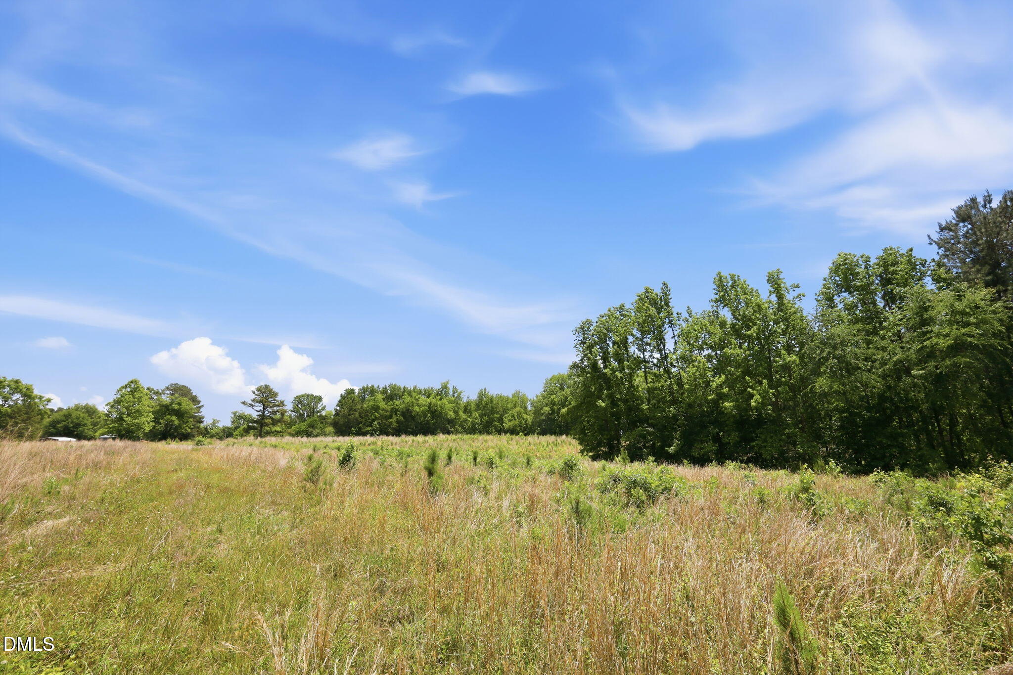 0 Pope Road Creedmoor, NC 27522 - Photo 11 of 19