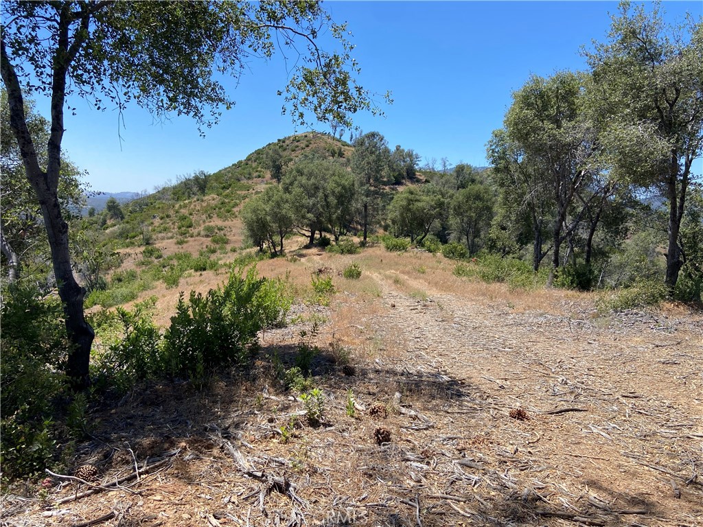 0 Bumguardner Mountain Road Mariposa, CA 95338 - Photo 3 of 36