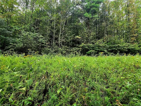 $100,800 | Lot 6-7 North Old Nc Highway 16, Millers Creek, NC 28651