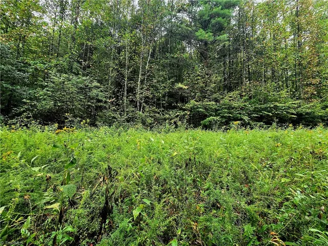 $100,800 | Lot 6-7 North Old Nc Highway 16, Millers Creek, NC 28651