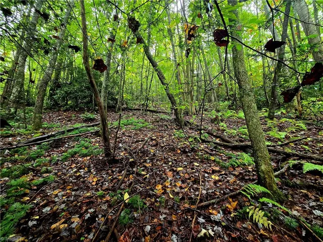 $100,800 | Lot 6-7 North Old Nc Highway 16, Millers Creek, NC 28651