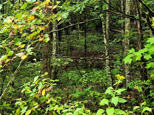 $100,800 | Lot 6-7 North Old Nc Highway 16, Millers Creek, NC 28651