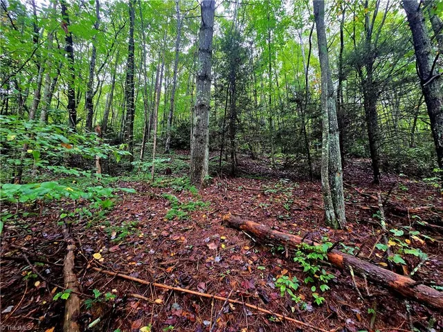 $100,800 | Lot 6-7 North Old Nc Highway 16, Millers Creek, NC 28651