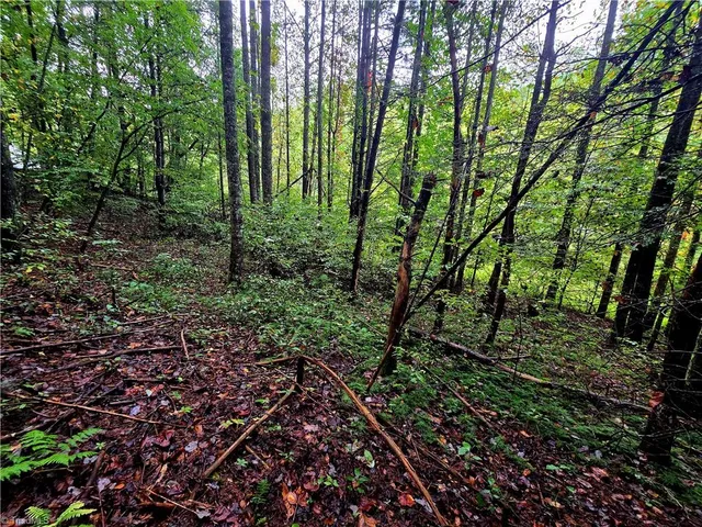 $100,800 | Lot 6-7 North Old Nc Highway 16, Millers Creek, NC 28651