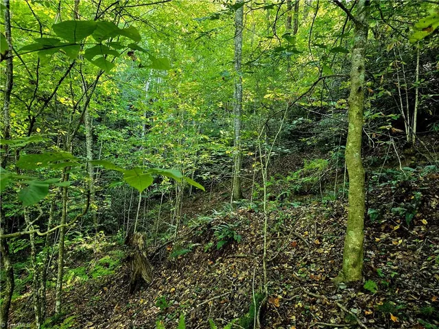 $100,800 | Lot 6-7 North Old Nc Highway 16, Millers Creek, NC 28651