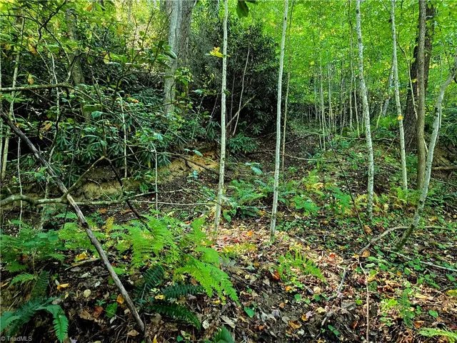 $100,800 | Lot 6-7 North Old Nc Highway 16, Millers Creek, NC 28651