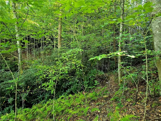 $100,800 | Lot 6-7 North Old Nc Highway 16, Millers Creek, NC 28651