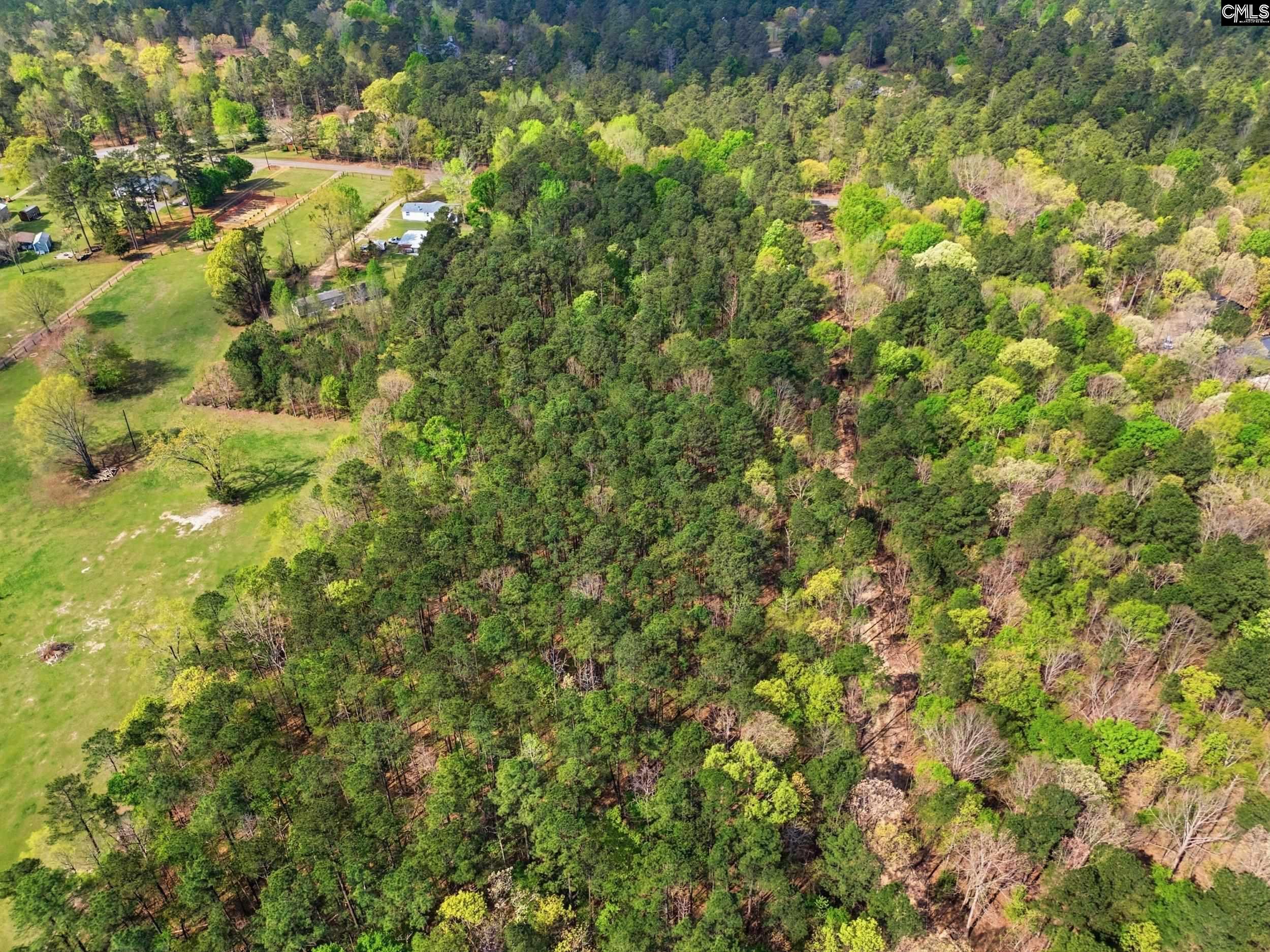 0 Wildwood Rd Extension Leesville, SC 29070 - Photo 10 of 16