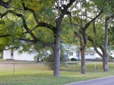 1003 Montgomery Road Northeast Newark, OH 43055 - Photo 2 of 8