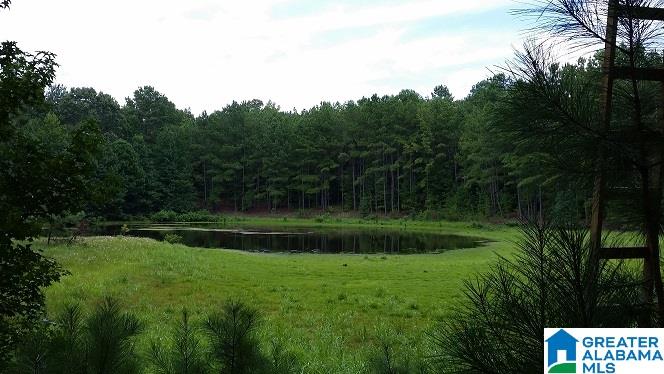 0 Coleman Road Sylacauga, AL 35150 - Photo 1 of 13
