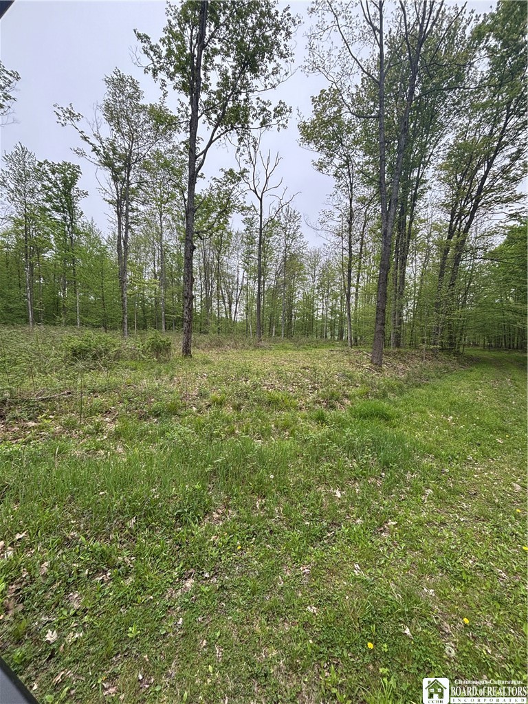Fulmer Valley Road Wellsville, NY 14895 - Photo 39 of 49