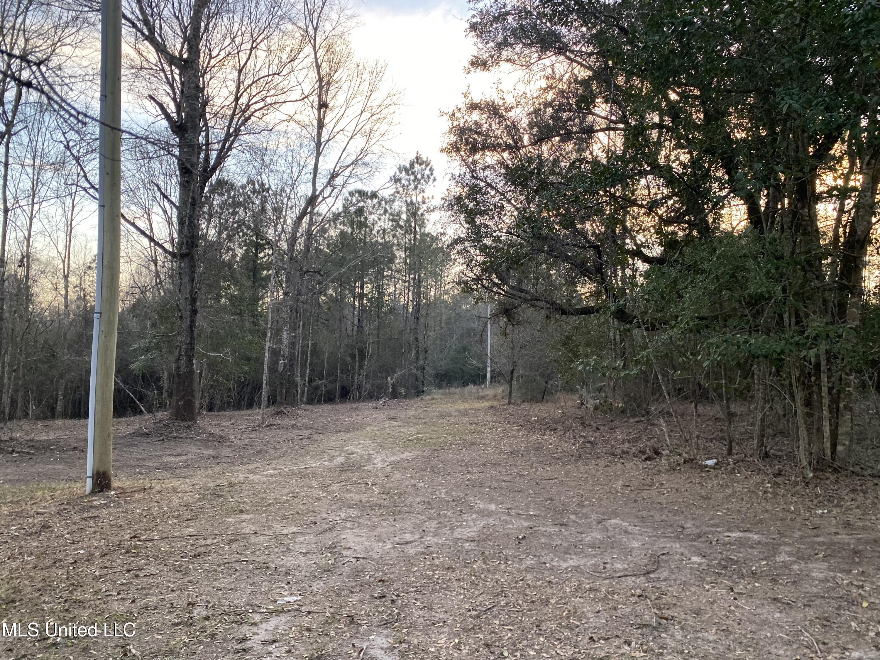 19501 Busby Road Vancleave, MS 39565 - Photo 36 of 42 E1474D80-8EFC-42D6-8A1A-3AAF04352B64