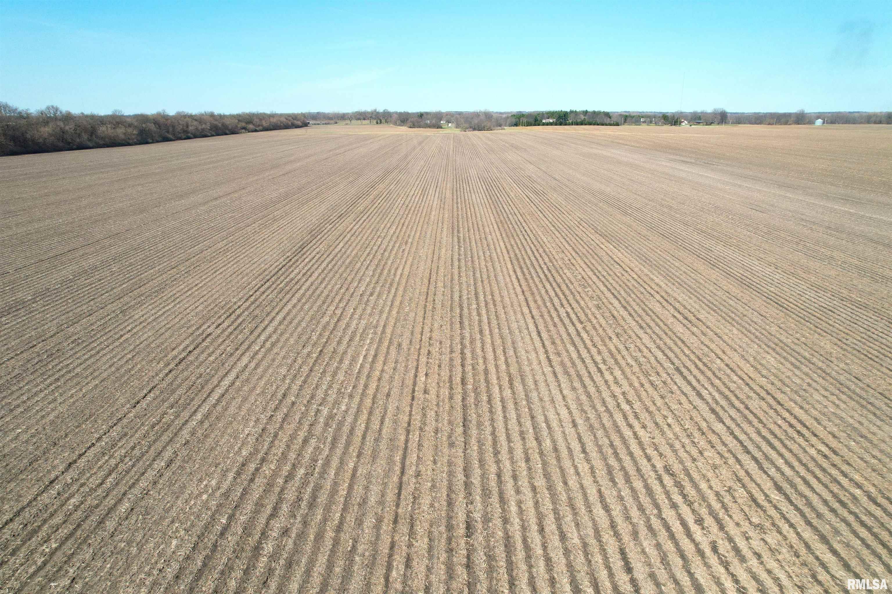Buckhart Road Rochester, IL 62563 - Photo 9 of 16