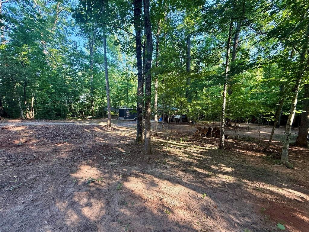 1125 Pecks Road Dahlonega, GA 30533 - Photo 23 of 31