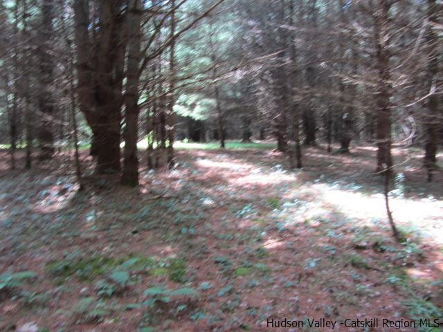 T/b/d Irish Cape Road Napanoch, NY 12458 - Photo 2 of 3 Photo 2