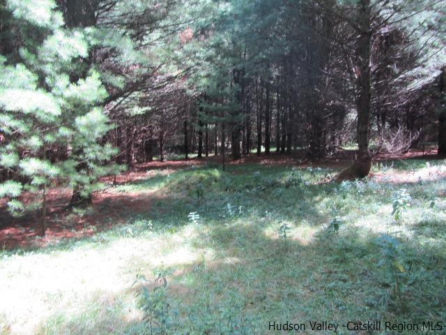 T/b/d Irish Cape Road Napanoch, NY 12458 - Photo 3 of 3 Photo 3