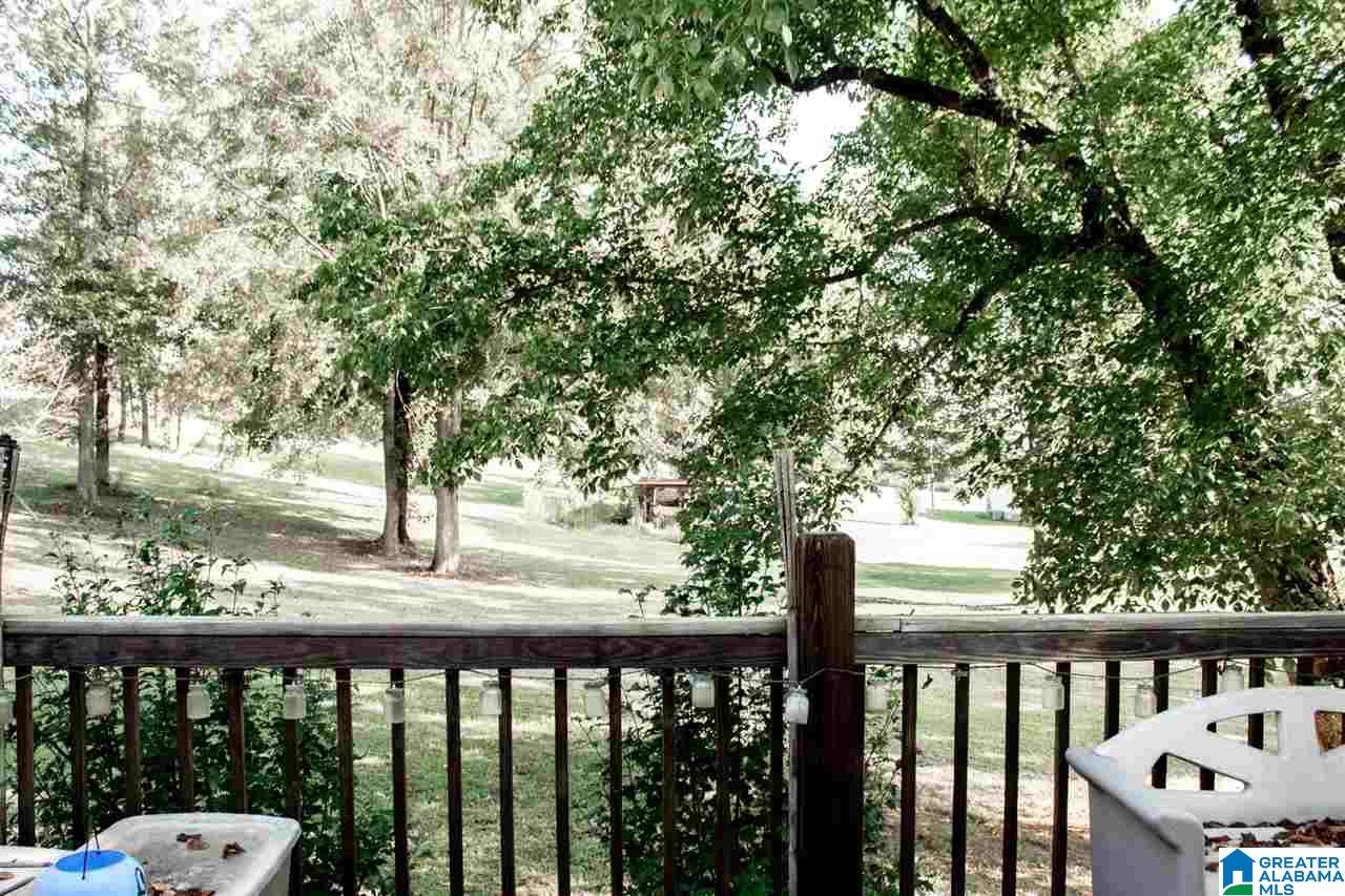 1370 Steinburg Road Piedmont, AL 36272 - Photo 32 of 34