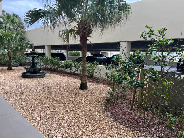 a view of a backyard with a garden and palm trees