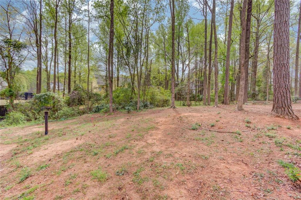 124 Dumar Lane Hoschton, GA 30548 - Photo 44 of 49 a view of backyard with plants and trees