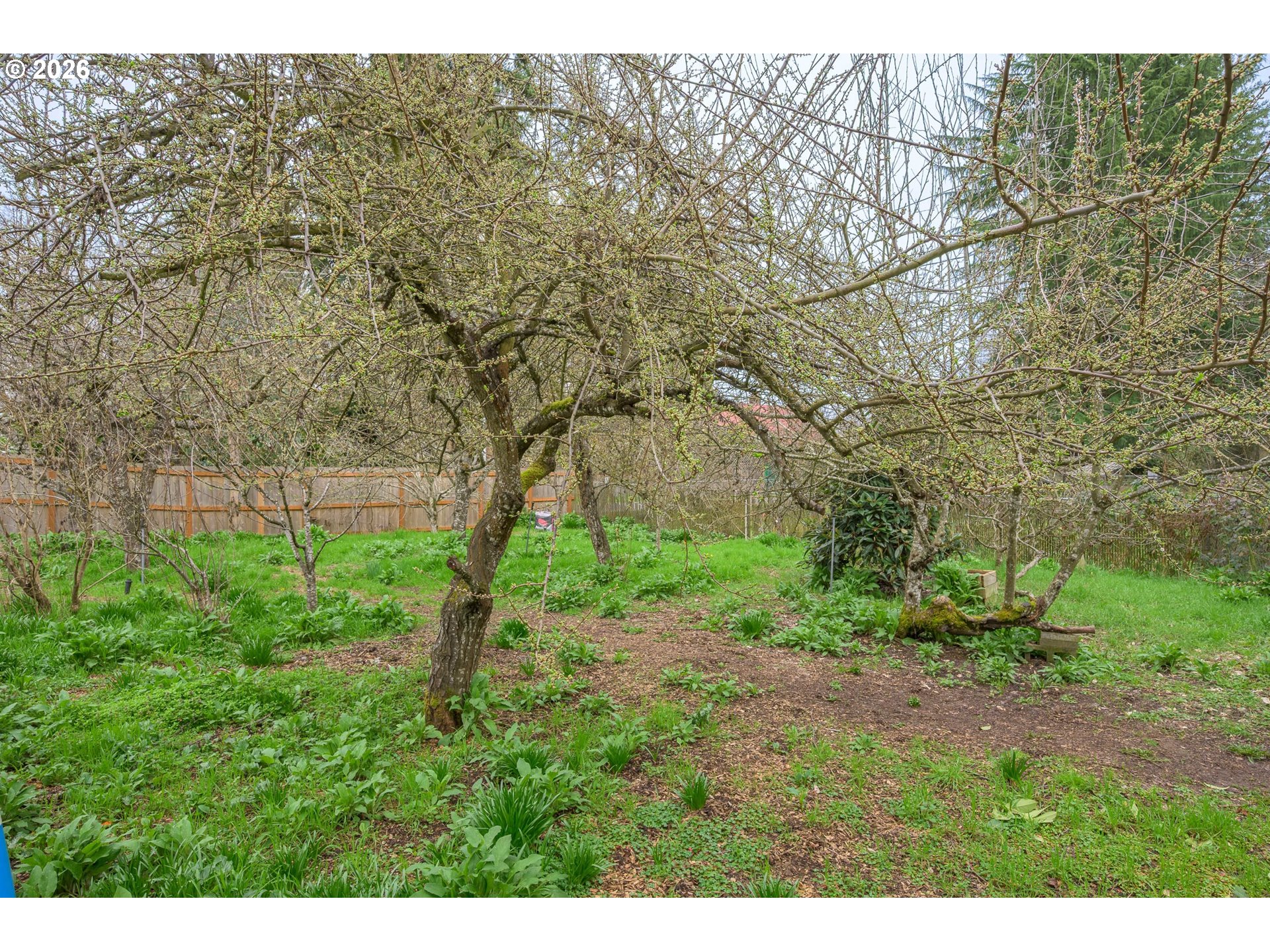 325 River Road Eugene, OR 97404 - Photo 40 of 44 Garden
