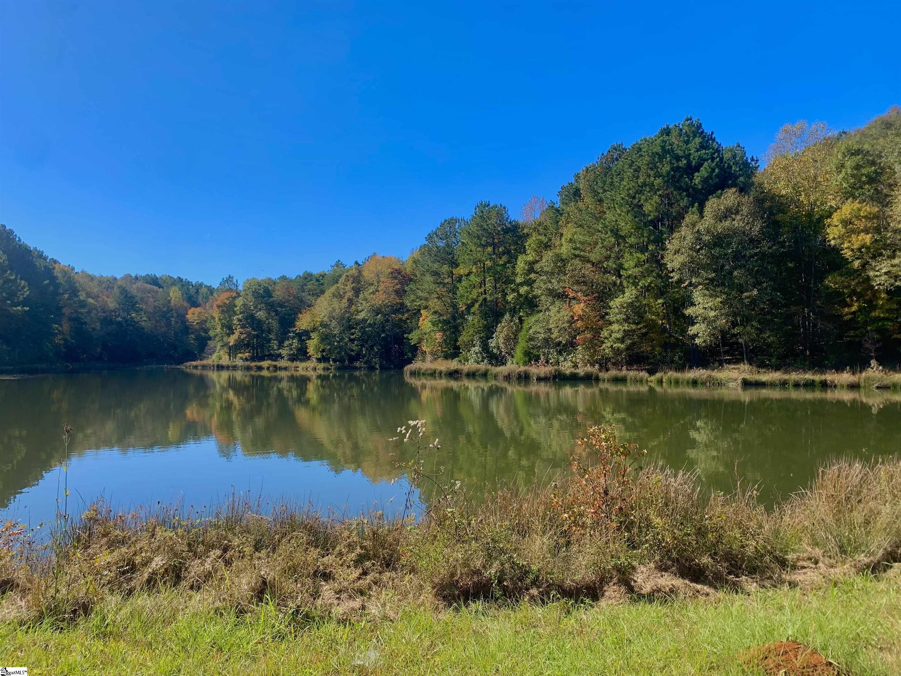 1745 Chumley Road Woodruff, SC 29388 - Photo 2 of 12
