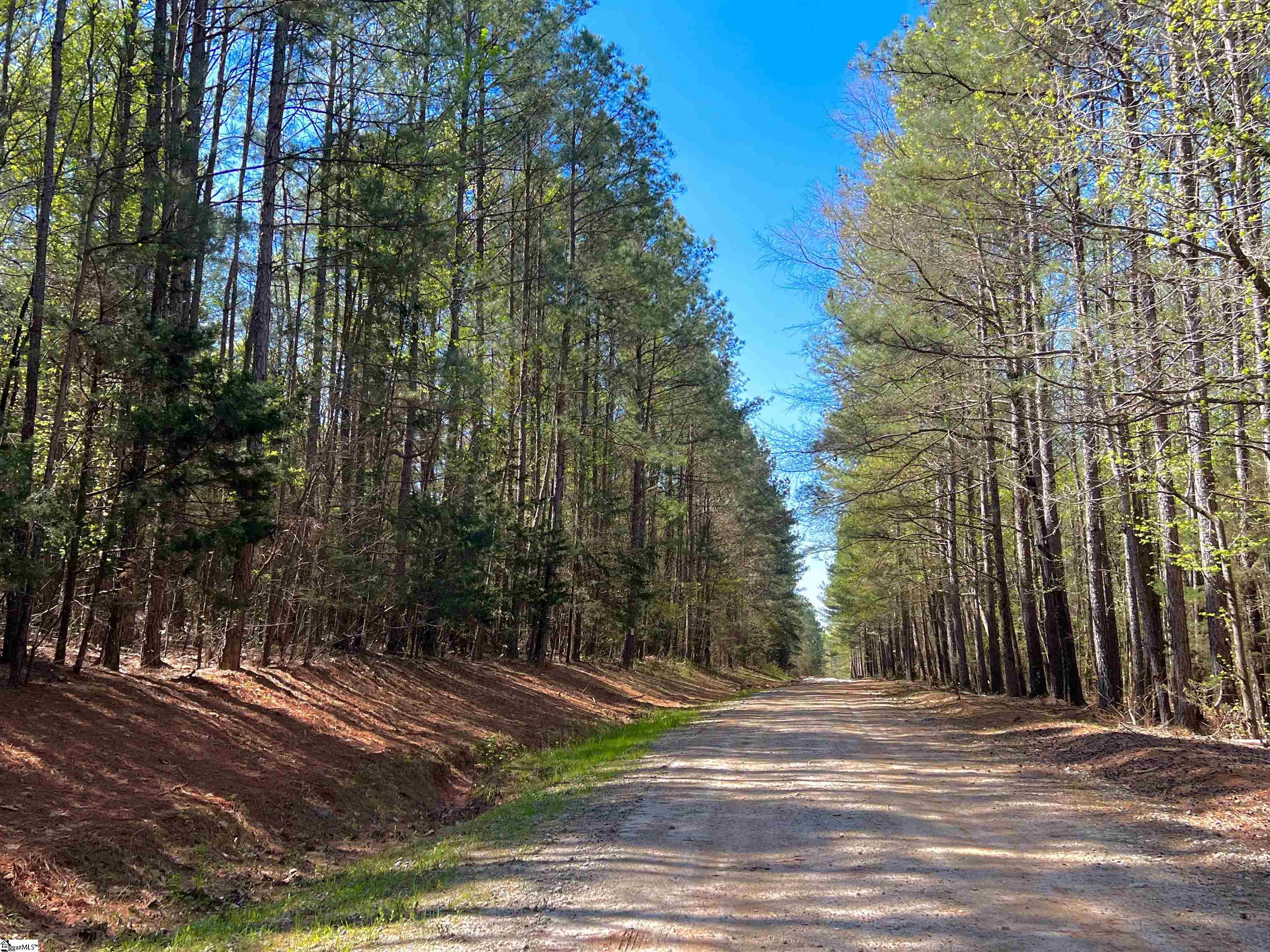 1745 Chumley Road Woodruff, SC 29388 - Photo 3 of 12