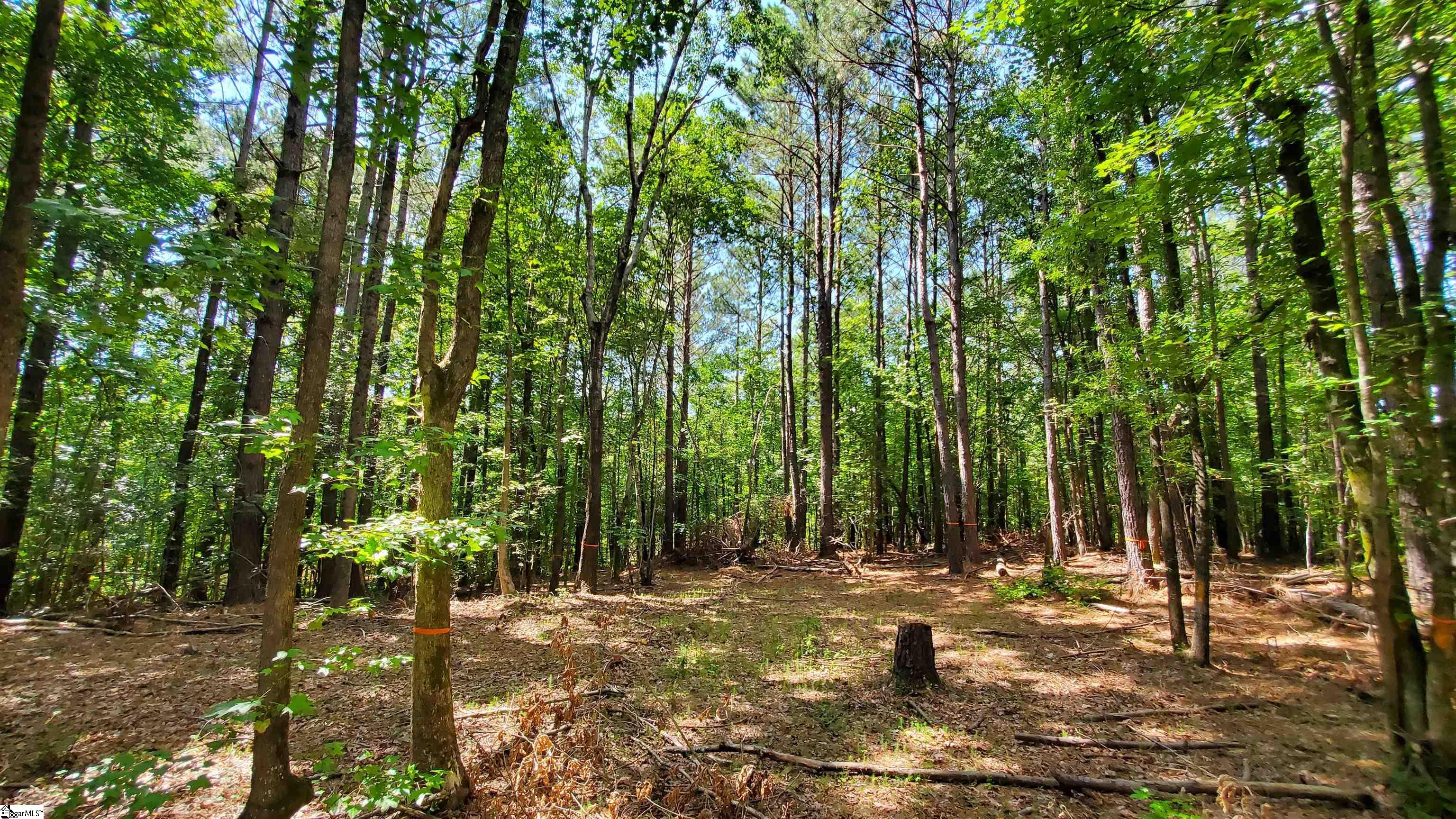 1745 Chumley Road Woodruff, SC 29388 - Photo 6 of 12
