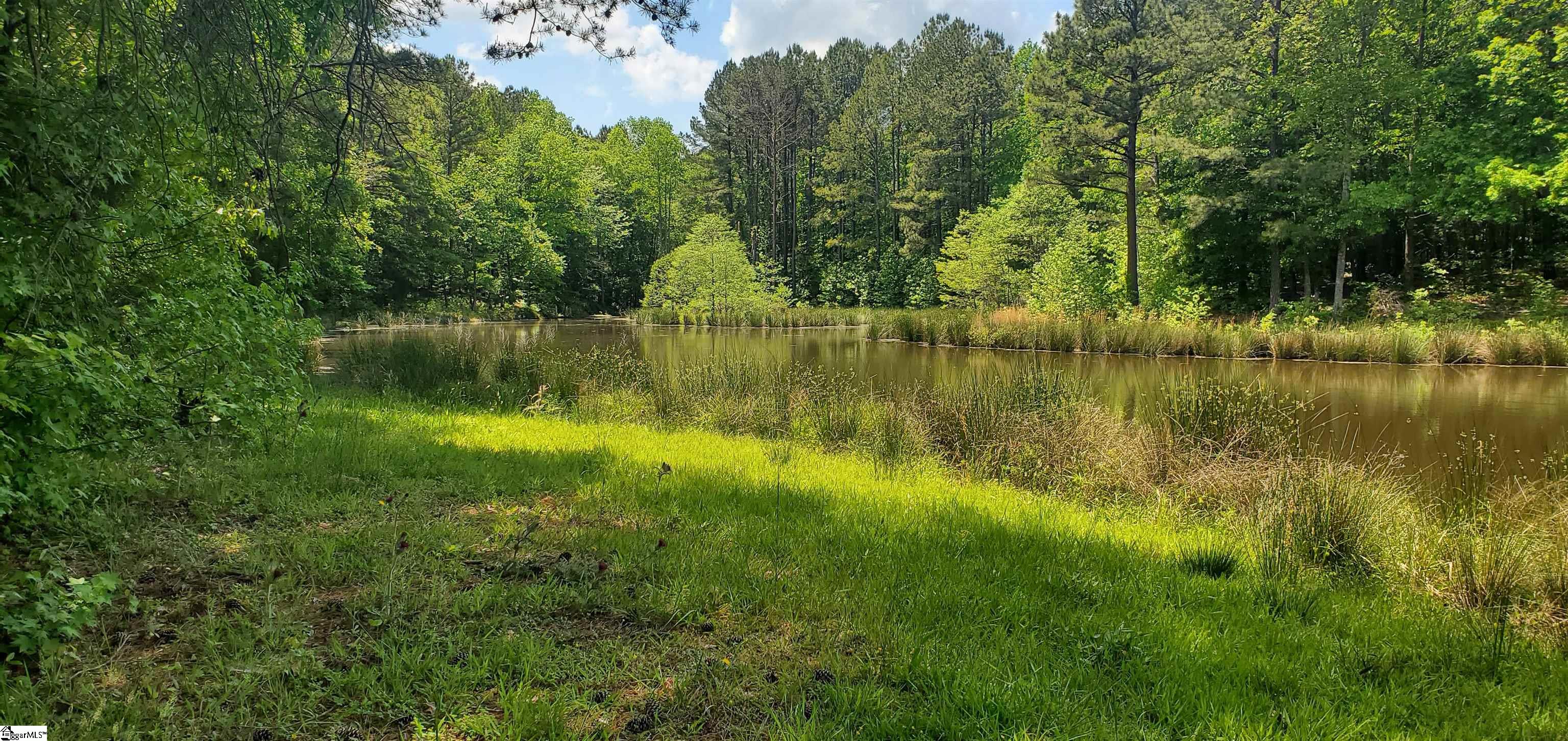 1745 Chumley Road Woodruff, SC 29388 - Photo 7 of 12