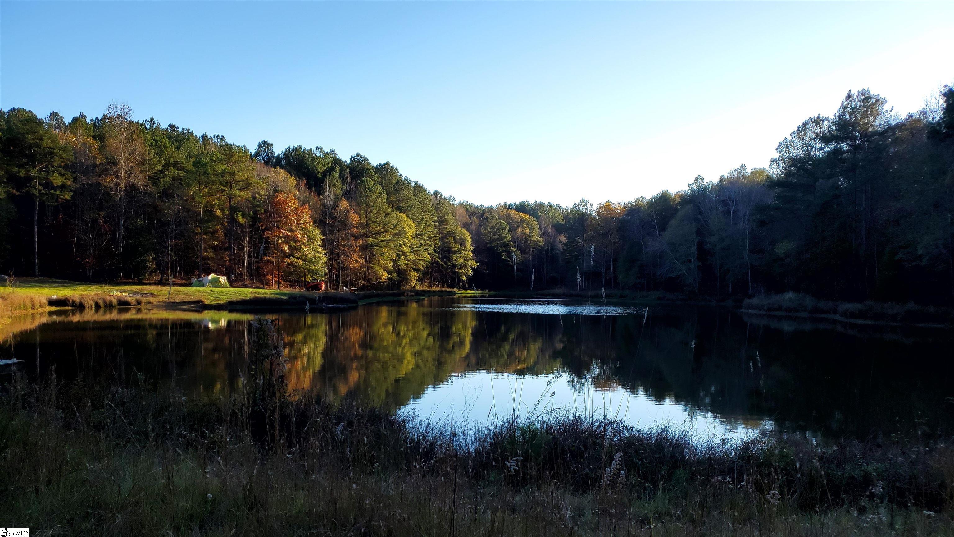 1745 Chumley Road Woodruff, SC 29388 - Photo 9 of 12