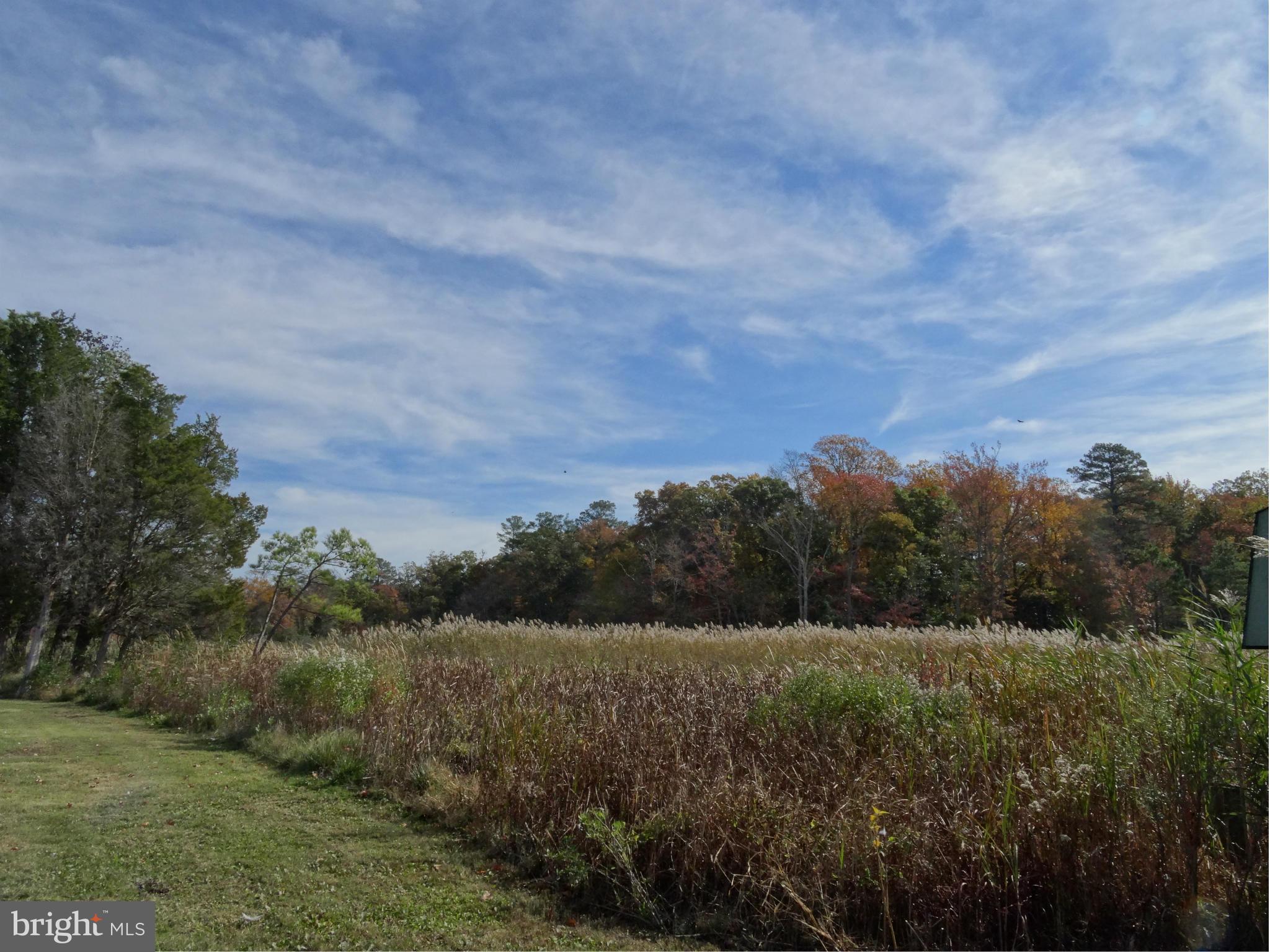 20562 Hog Island Road Preston, MD 21655 - Photo 23 of 30 Exterior (General)