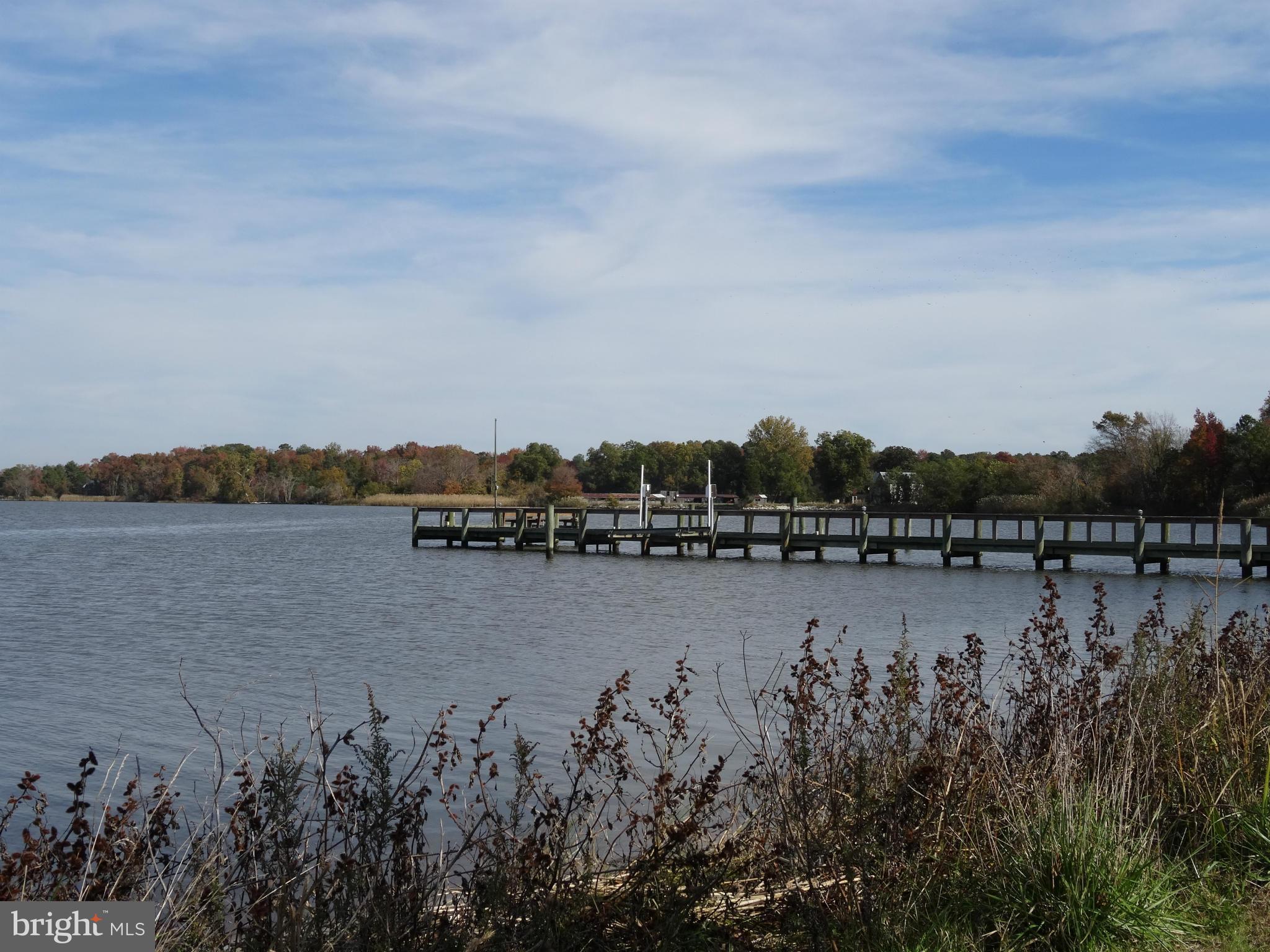 20562 Hog Island Road Preston, MD 21655 - Photo 7 of 30 Exterior (General)