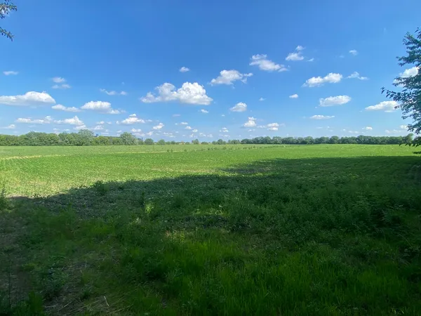 a view of a big yard of grass and an outdoor space