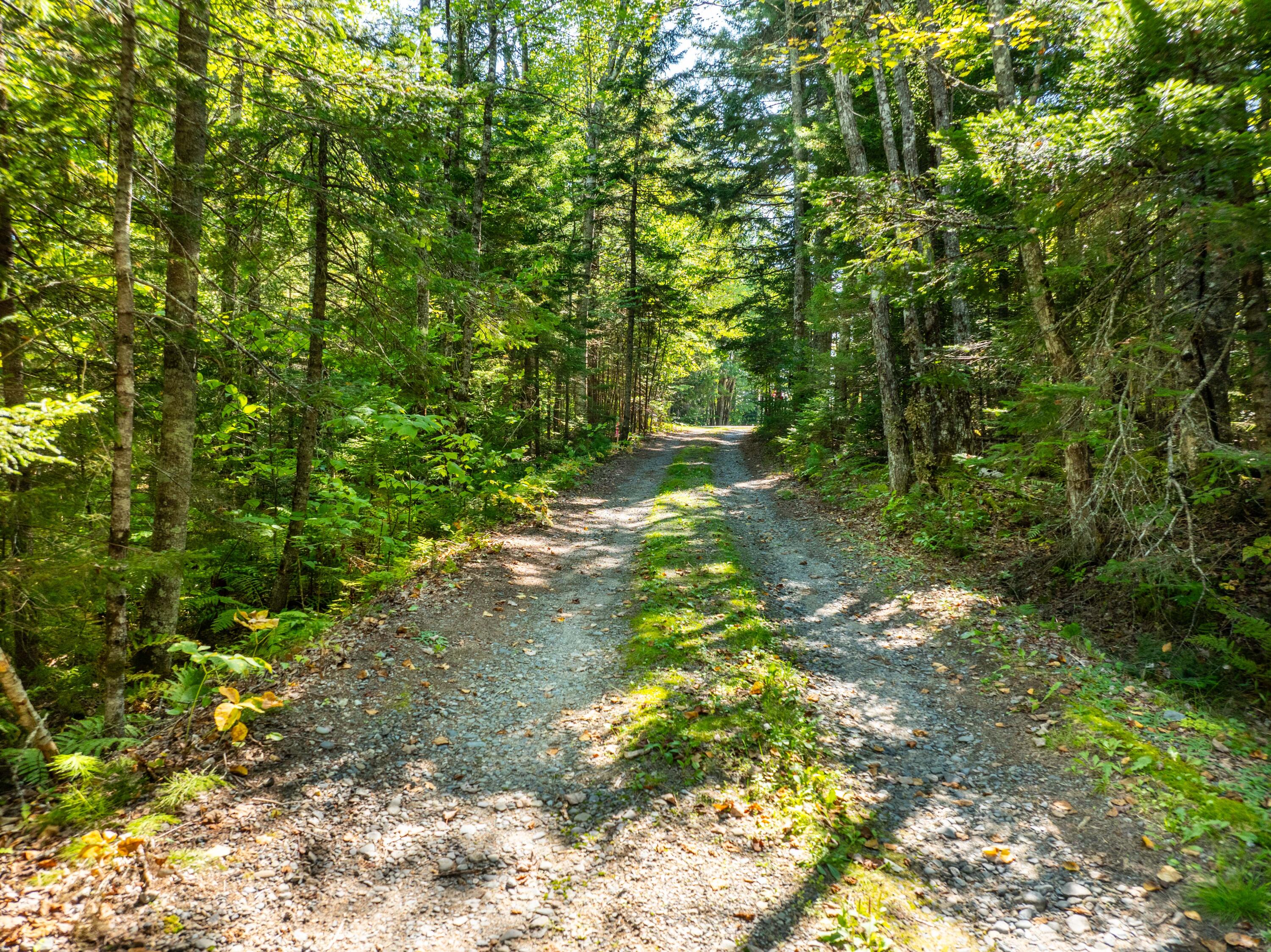 7 Foss Lane Machias, ME 04654 - Photo 24 of 28 7 Foss Lane - 6 Mile Lake Marshfield-34