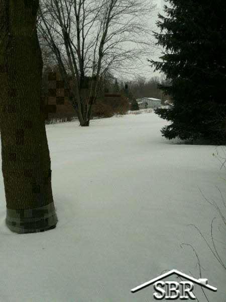 3181 Moran Road Birch Run, MI 48415 - Photo 19 of 20 20394048-18.JPG