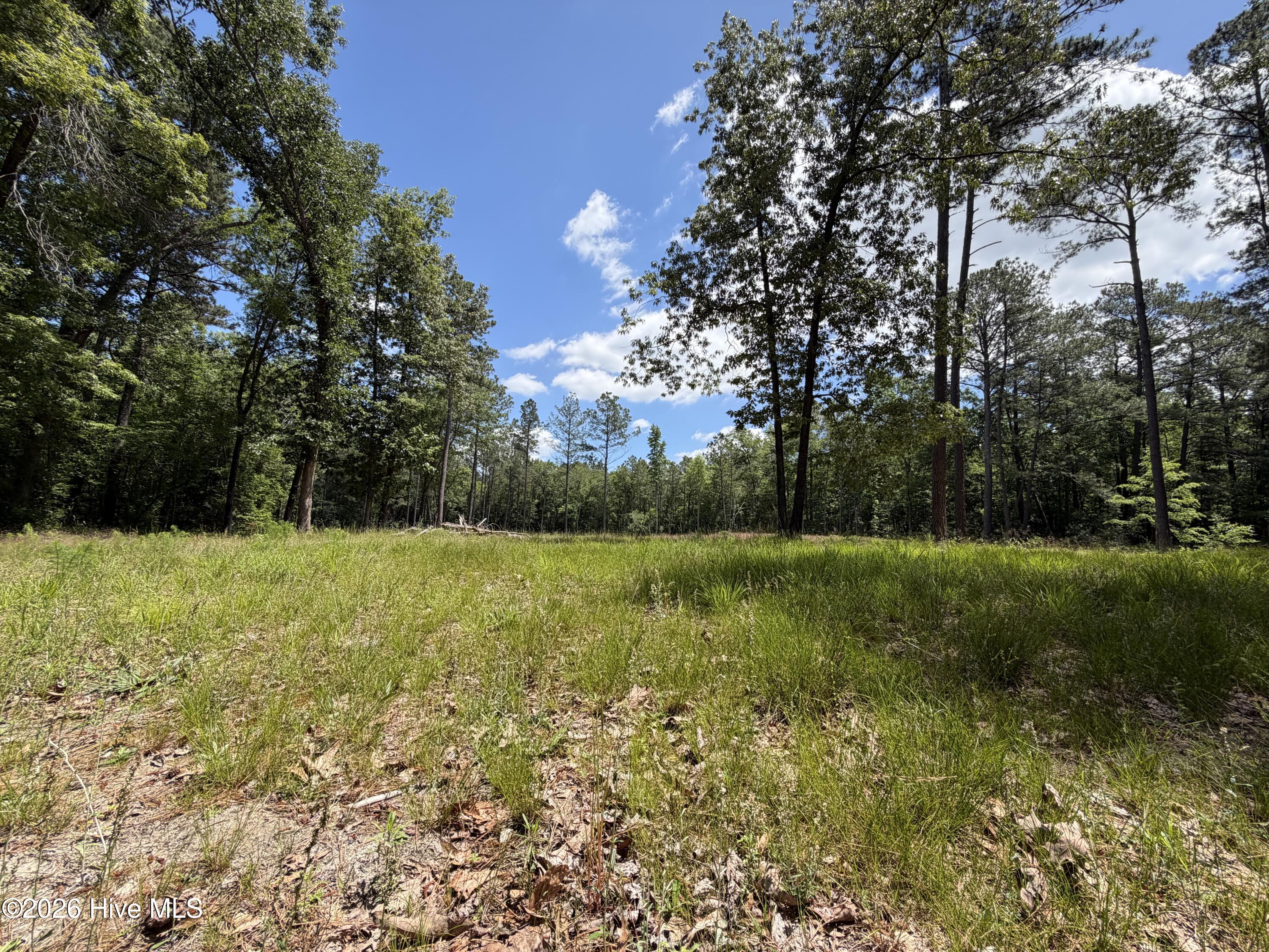 979 Aiken Road Vass, NC 28394 - Photo 10 of 26 979 Aiken Rd 10