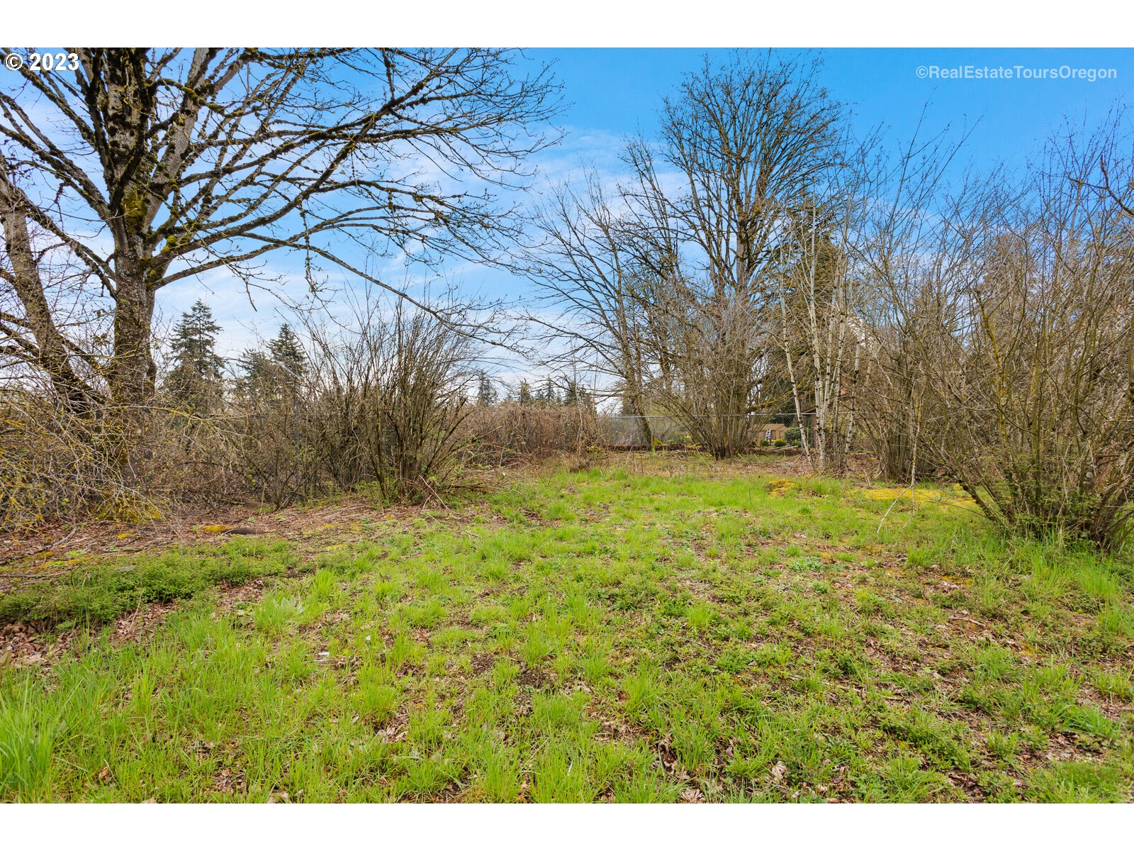 0 Southeast Nancy Road Vancouver, WA 98664 - Photo 14 of 20 a view of yard with green space