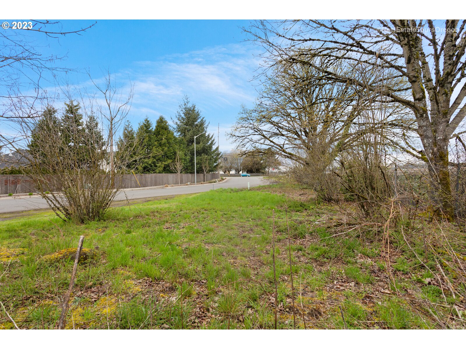0 Southeast Nancy Road Vancouver, WA 98664 - Photo 17 of 20 a view of outdoor space with deck and tree