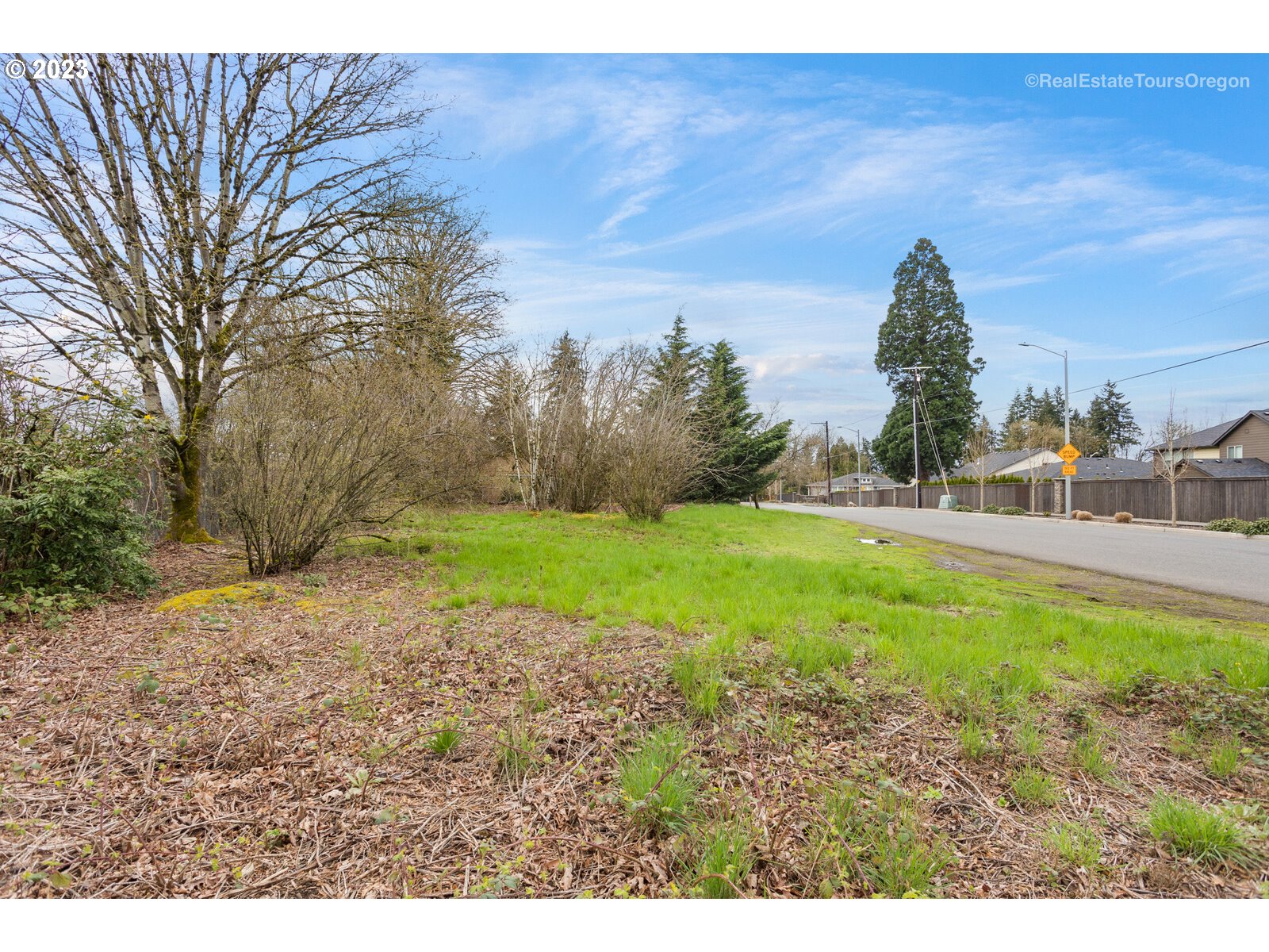 0 Southeast Nancy Road Vancouver, WA 98664 - Photo 18 of 20 a view of a backyard
