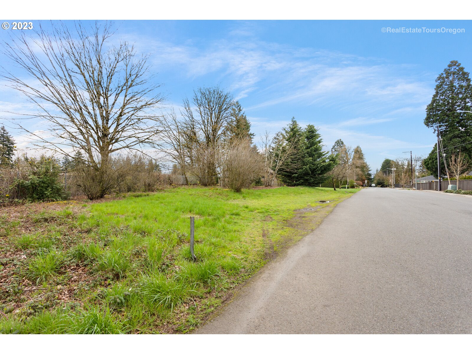 0 Southeast Nancy Road Vancouver, WA 98664 - Photo 19 of 20 a view of grassy field with trees