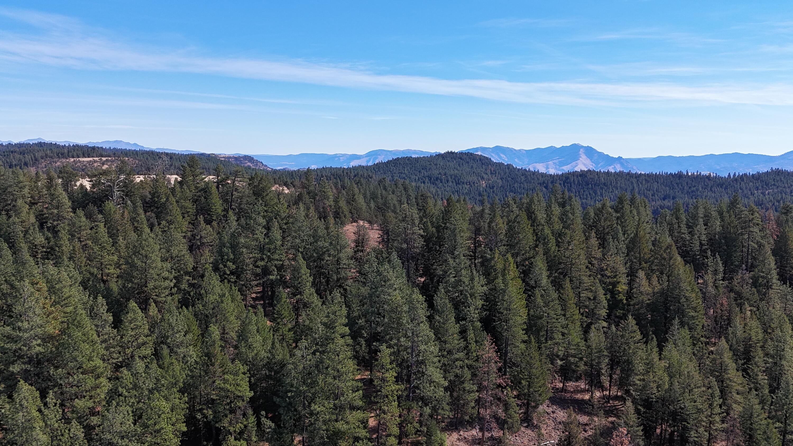 Franks Creek Road Monument, OR 97864 - Photo 12 of 29 DJI_20240930151611_0635_D