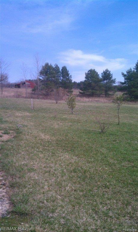 0 Allen Road Fenton, MI 48430 - Photo 4 of 9 IMAG0526.jpg