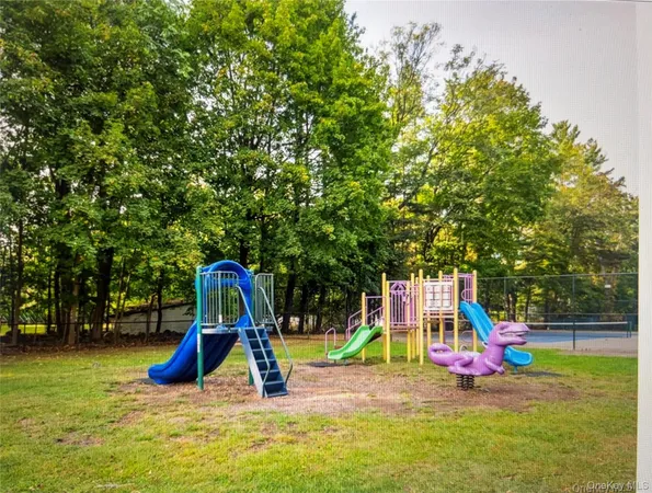 a view of a park with slide