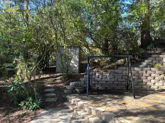 a view of a yard with trees