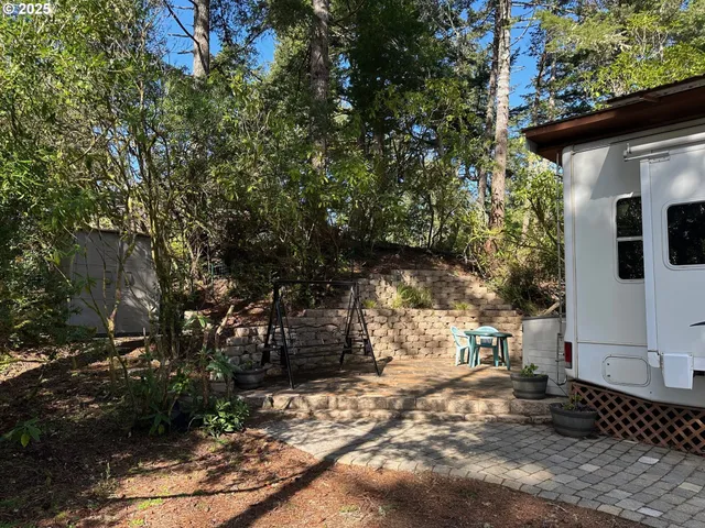 a view of a yard with plants and trees