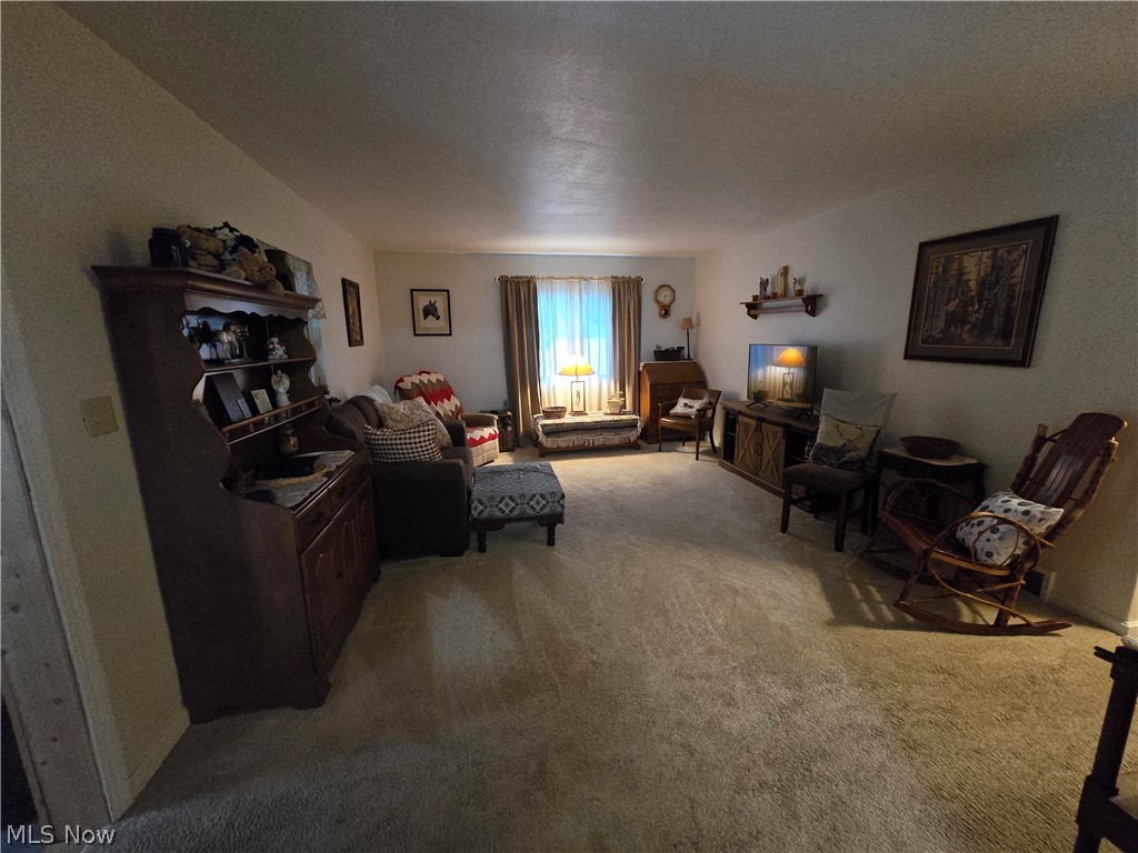 16456 Mayfield Road Huntsburg, OH 44046 - Photo 6 of 19 Living room featuring carpet floors