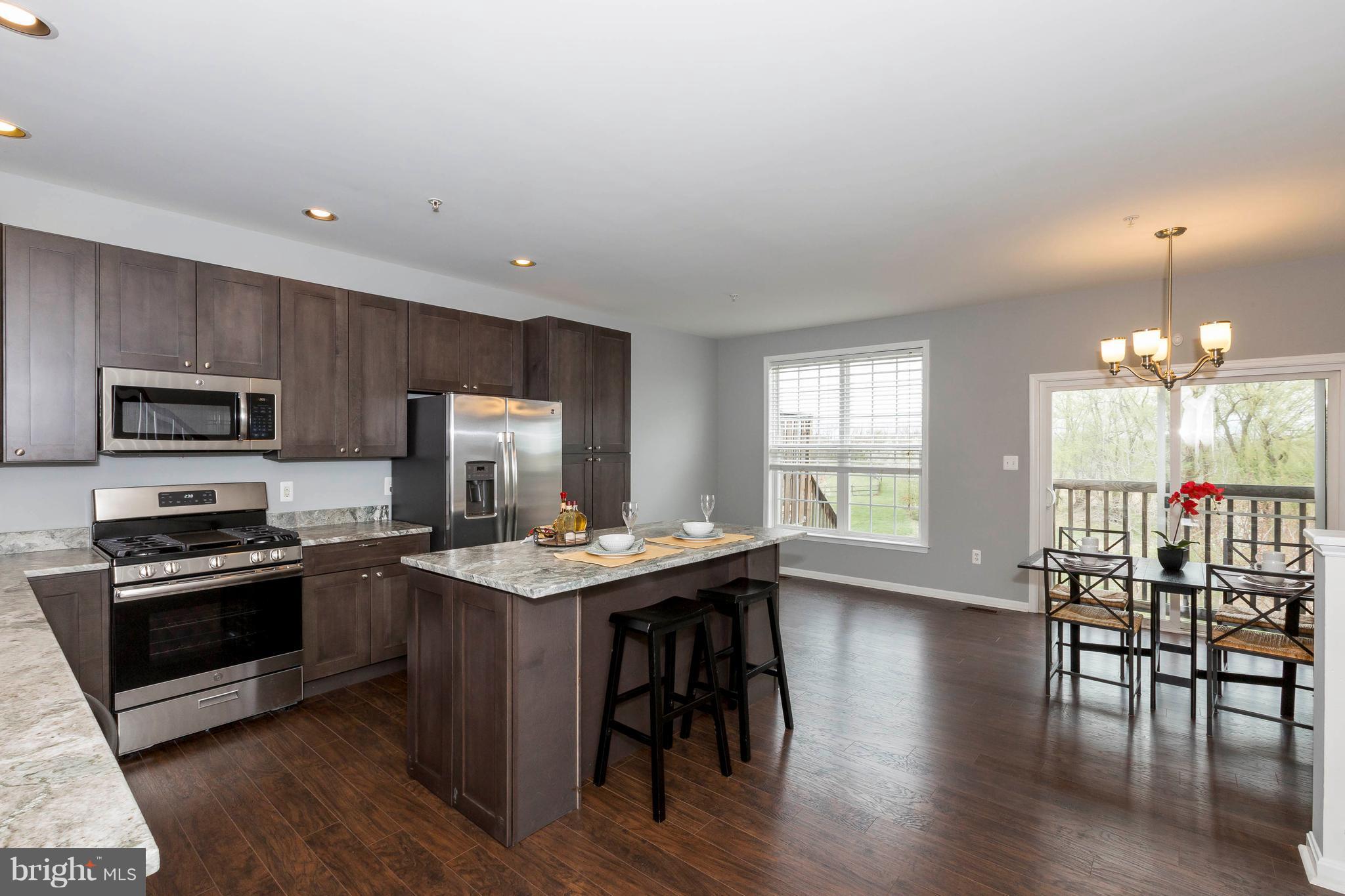 204 Timber View Court Frederick, MD 21702 - Photo 2 of 28 BRAND NEW KITCHEN