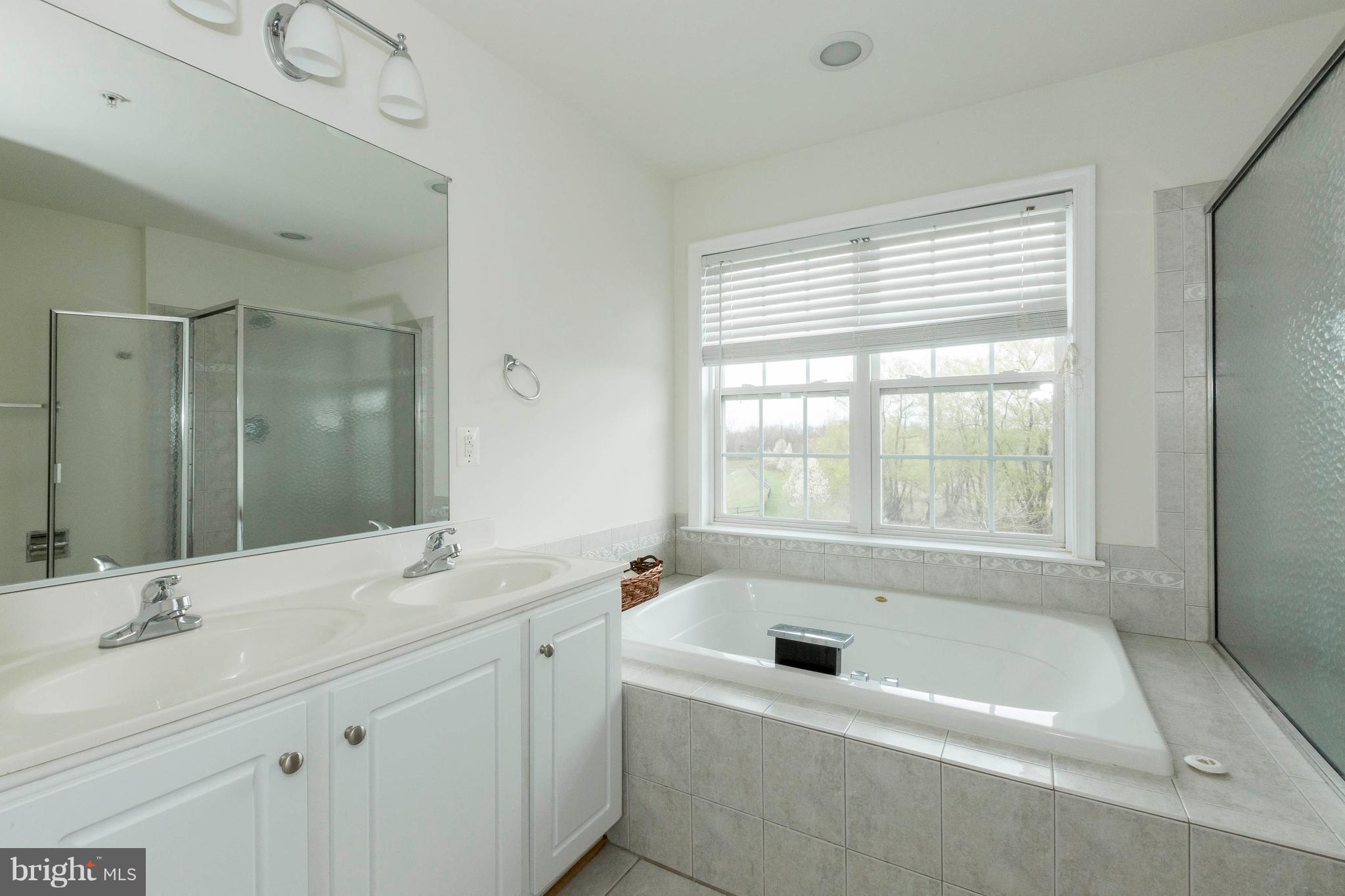 204 Timber View Court Frederick, MD 21702 - Photo 17 of 28 HUGE soaking tub